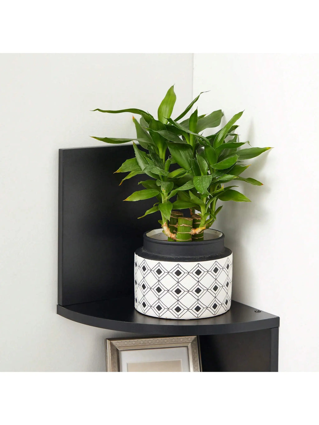 🖤 Scaffale Angolare da Parete VASAGLE – Design Moderno e Funzionale per Ogni Stanza