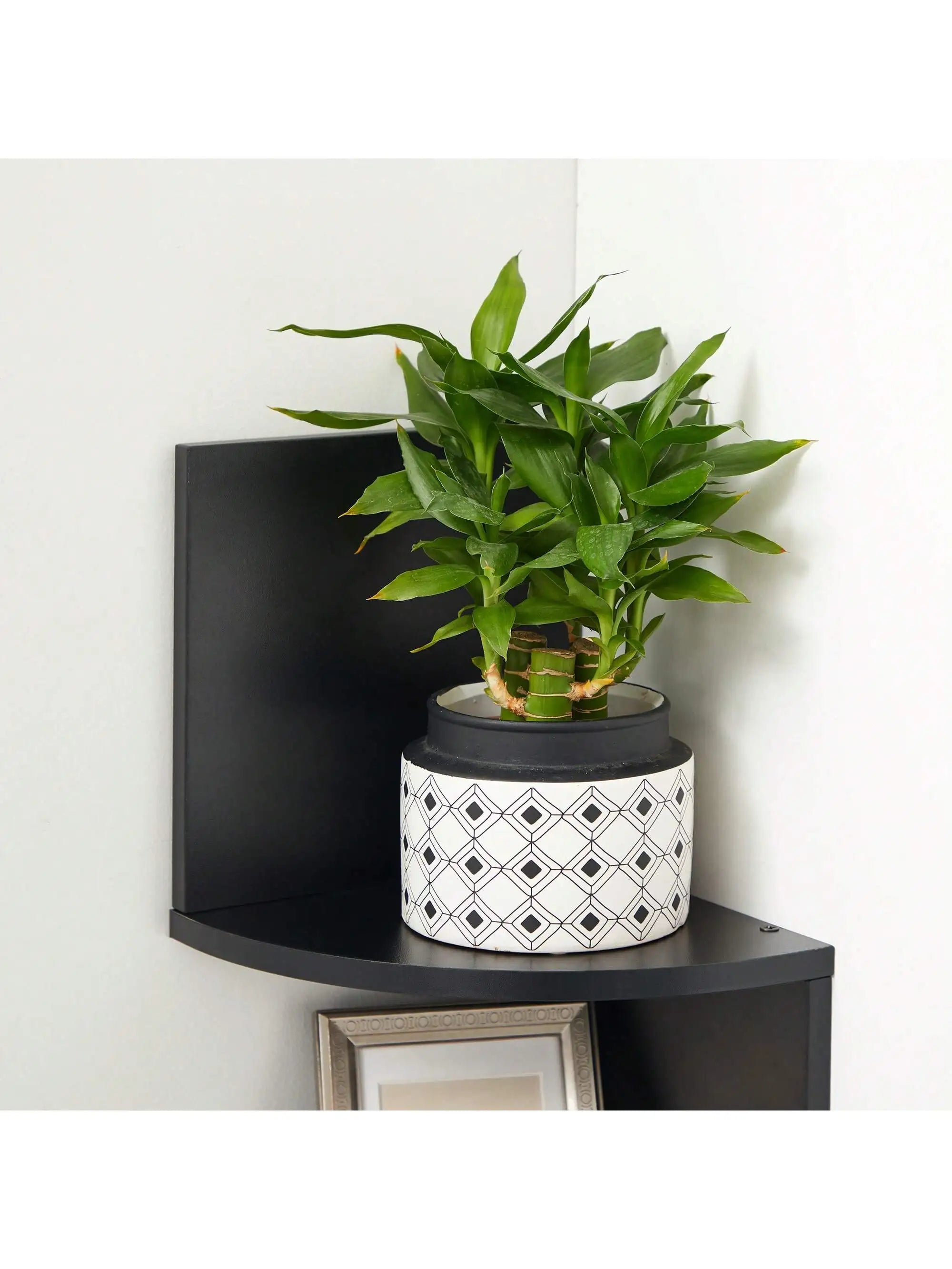 🖤 Scaffale Angolare da Parete VASAGLE – Design Moderno e Funzionale per Ogni Stanza